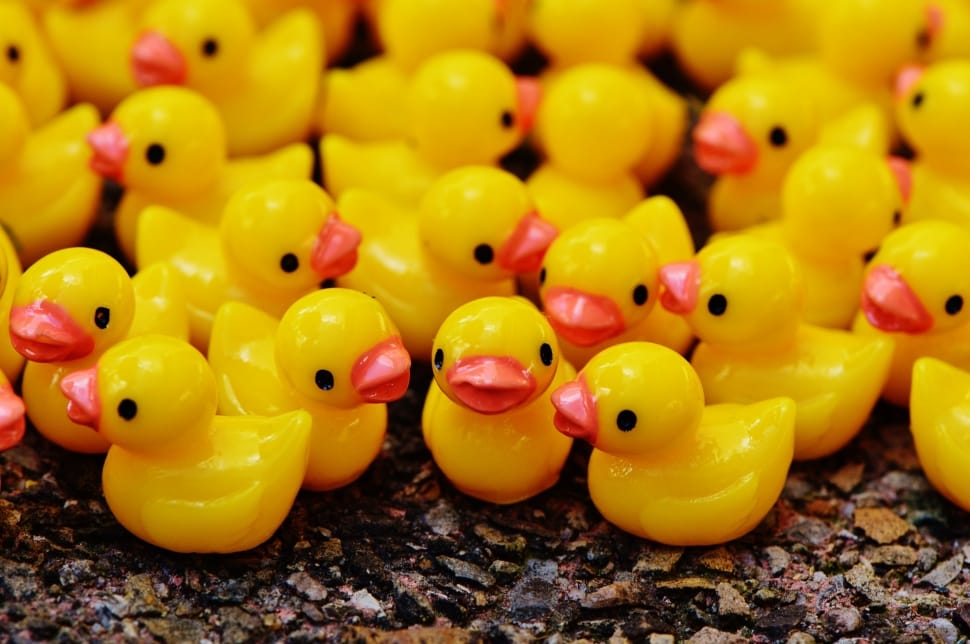 yellow and red ducklings plastic toys preview