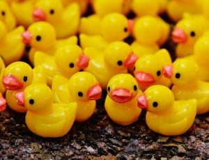 yellow and red ducklings plastic toys thumbnail