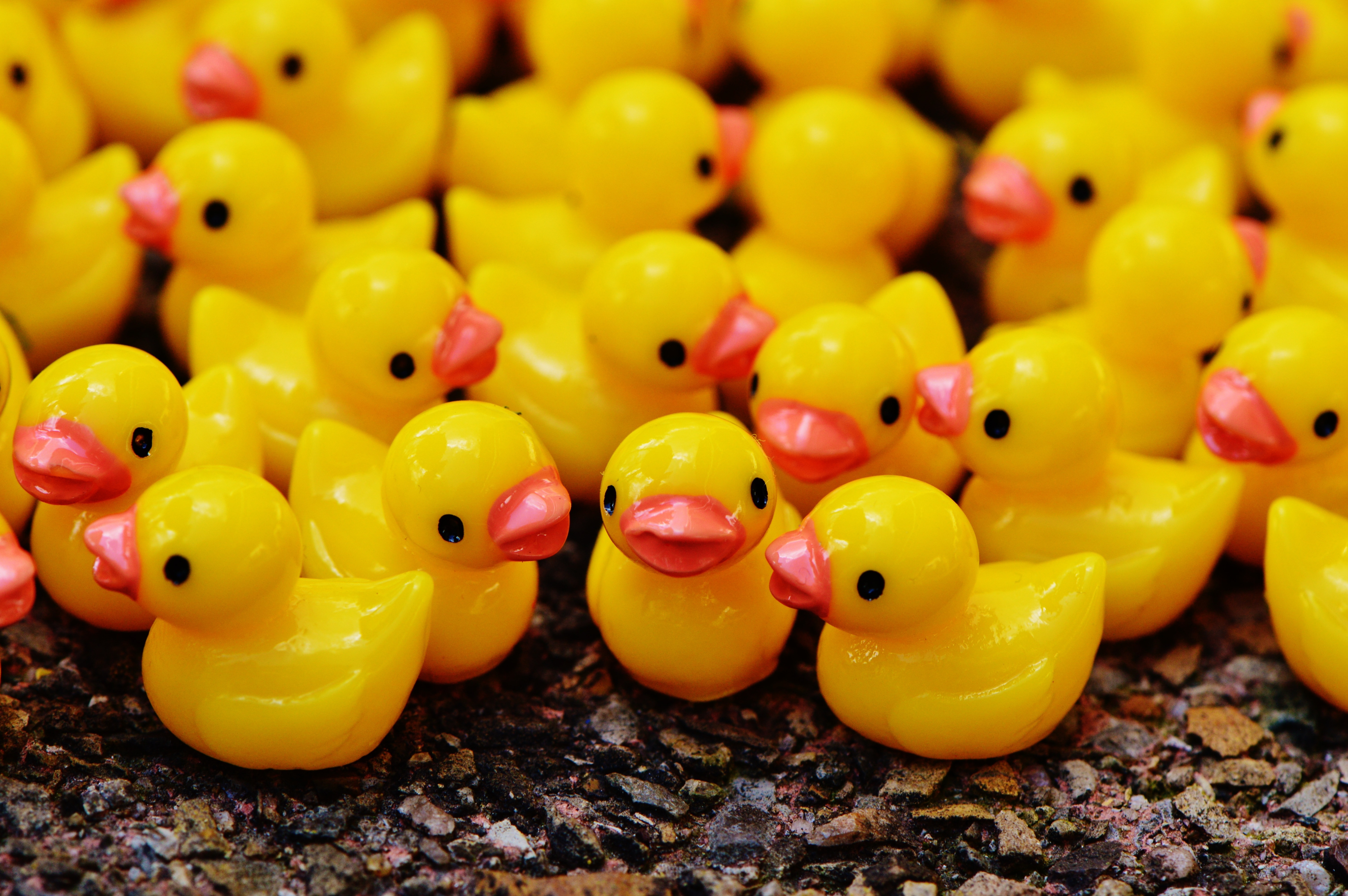 yellow and red ducklings plastic toys