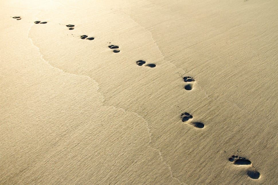 sand, beach, sunrise, footprints, sand, footprint preview