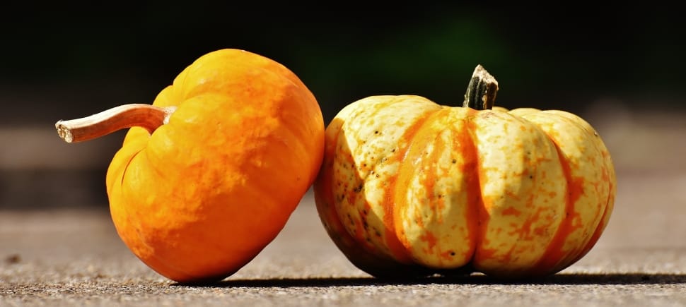 3 orange pumpkin preview