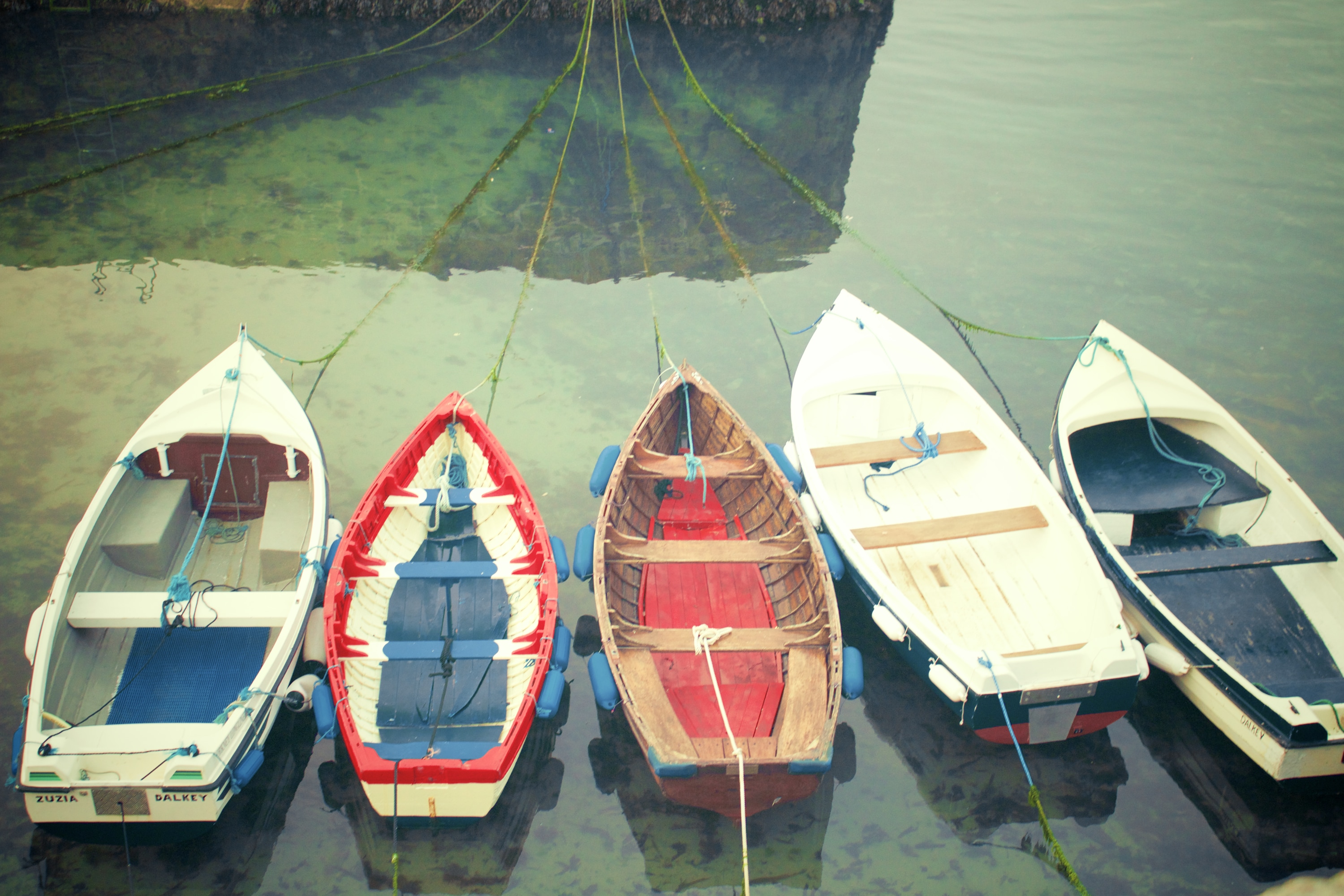 5 canoes