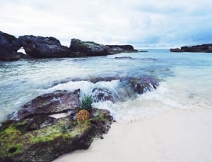 photograph of pineapple on rocks in the middle of body of water thumbnail