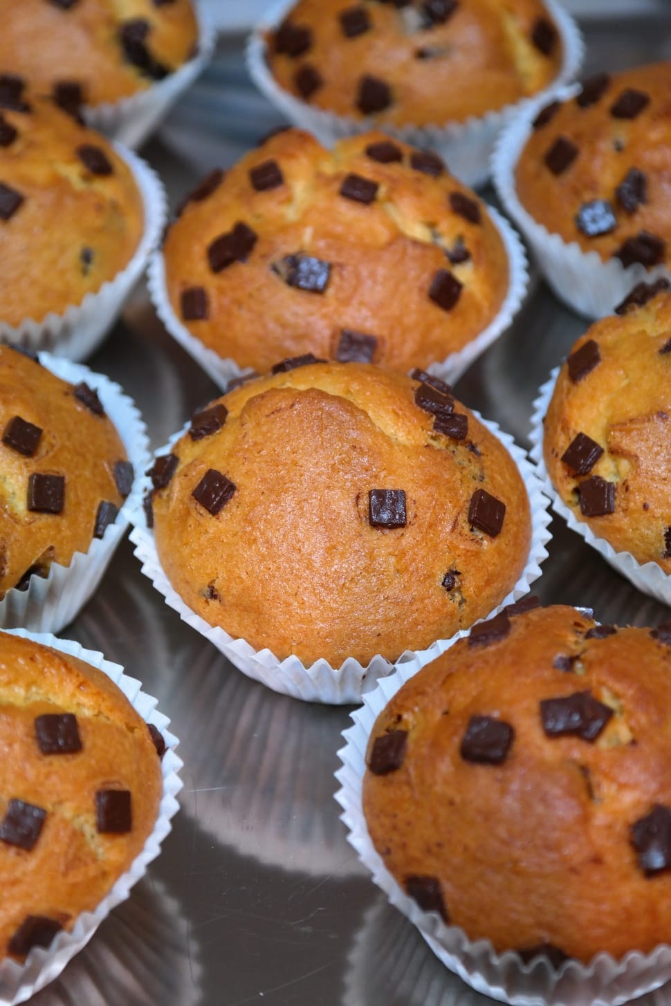 baked muffins with chocolate chips preview