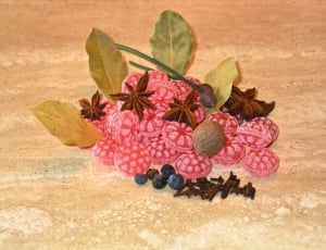 star anise, candies and pink fruits thumbnail