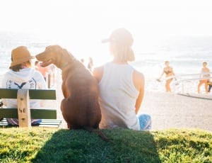 brown coated dog sitting beside woman in white tank top thumbnail