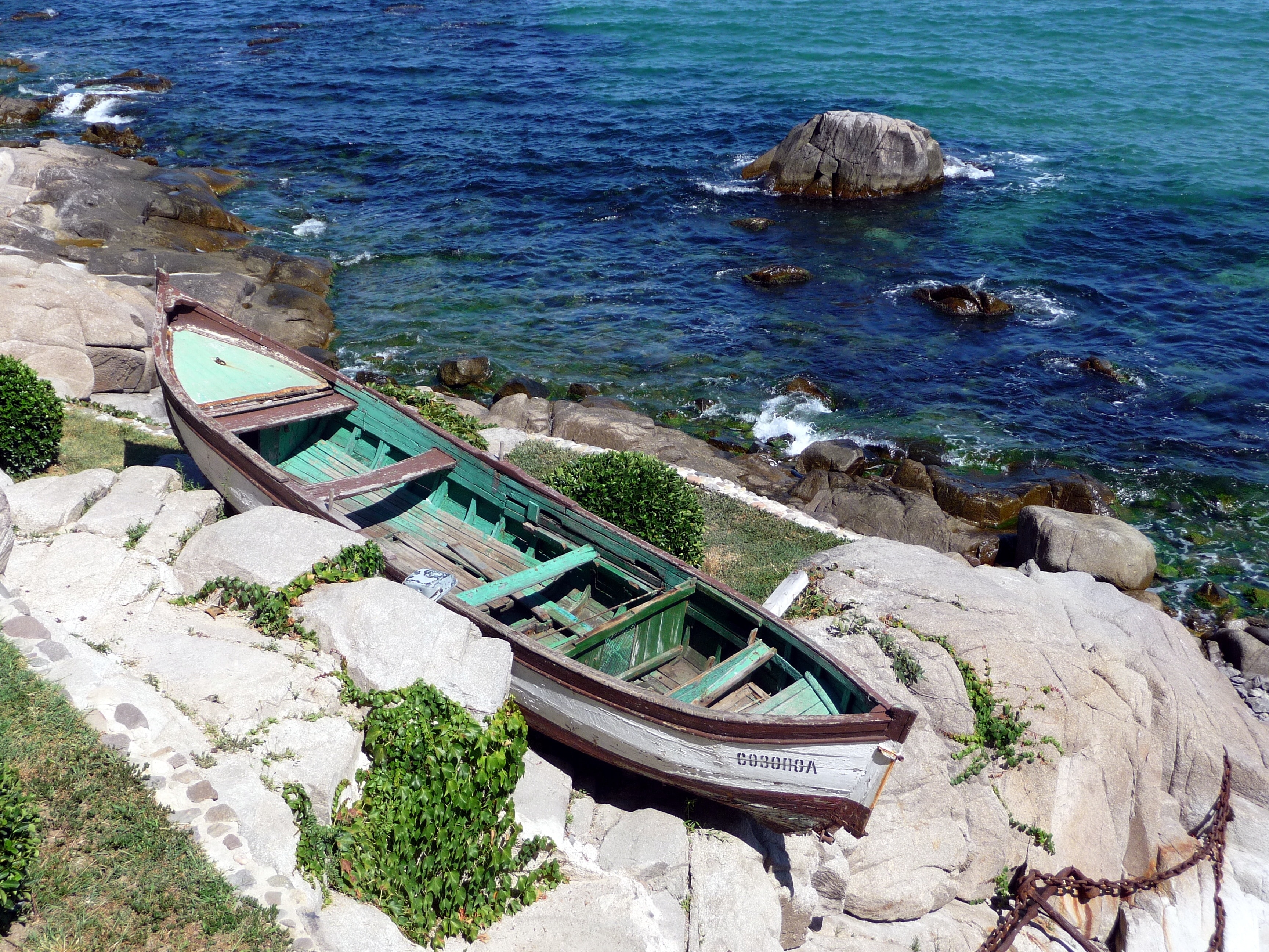white brown and green wooden canoe