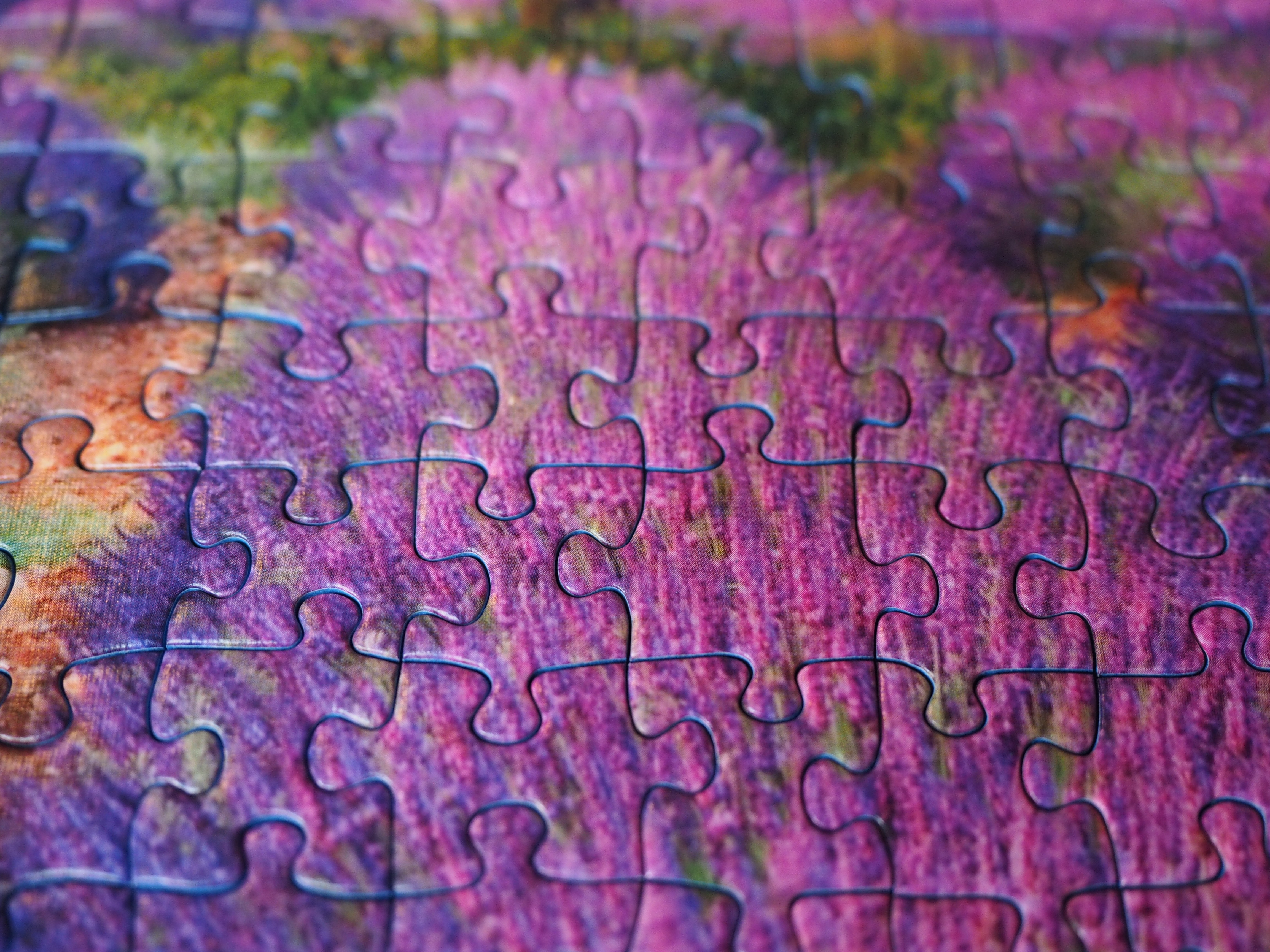 purple jigsaw puzzle