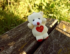 white and red bear plush toy thumbnail