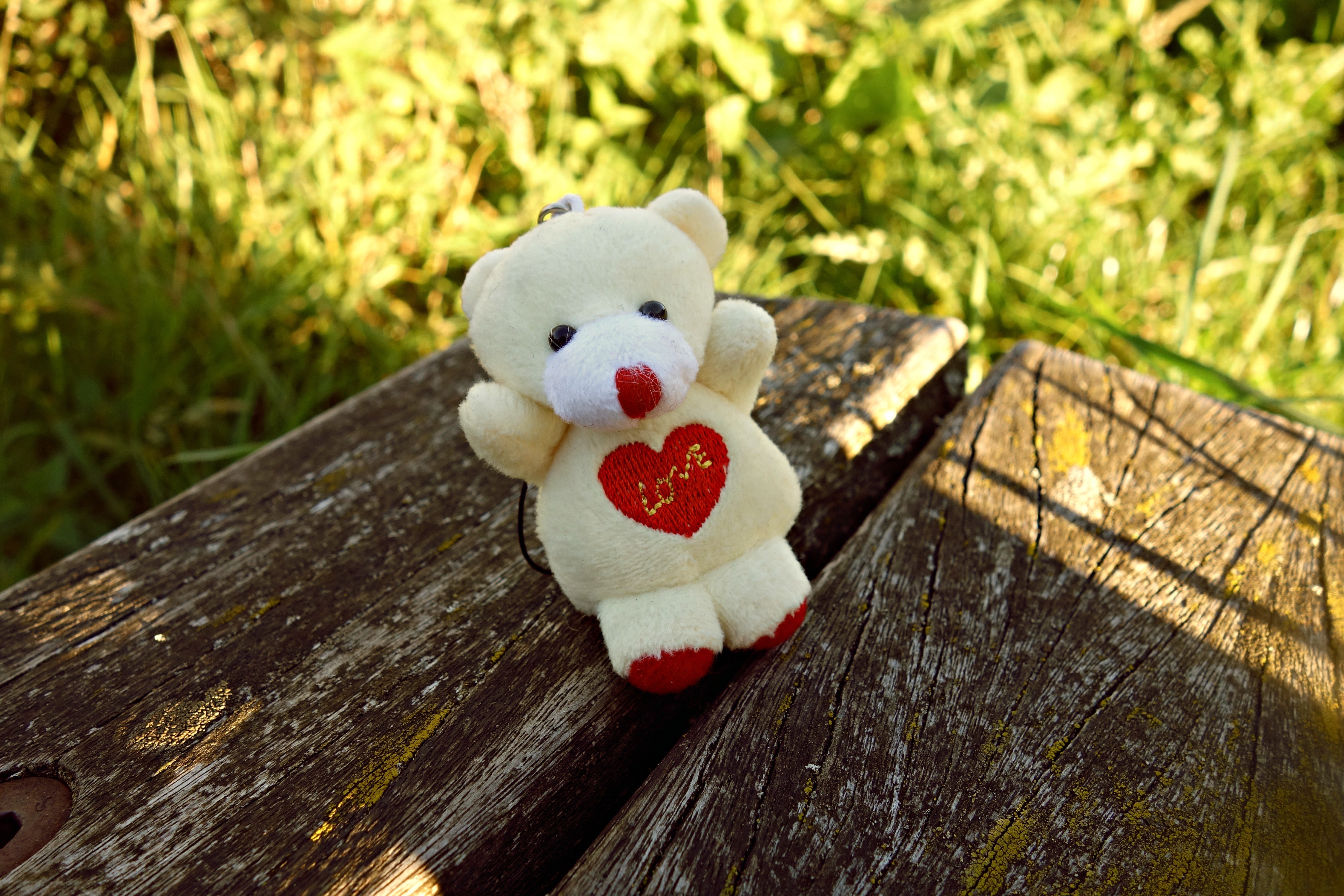 white and red bear plush toy