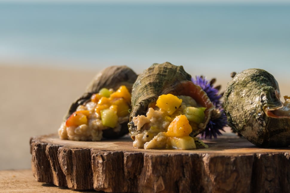 cooked food on seashell preview