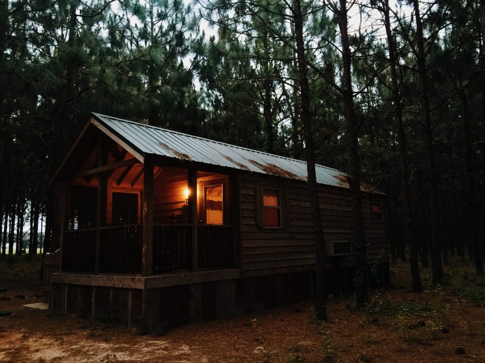 brown wooden cabin in the woods preview