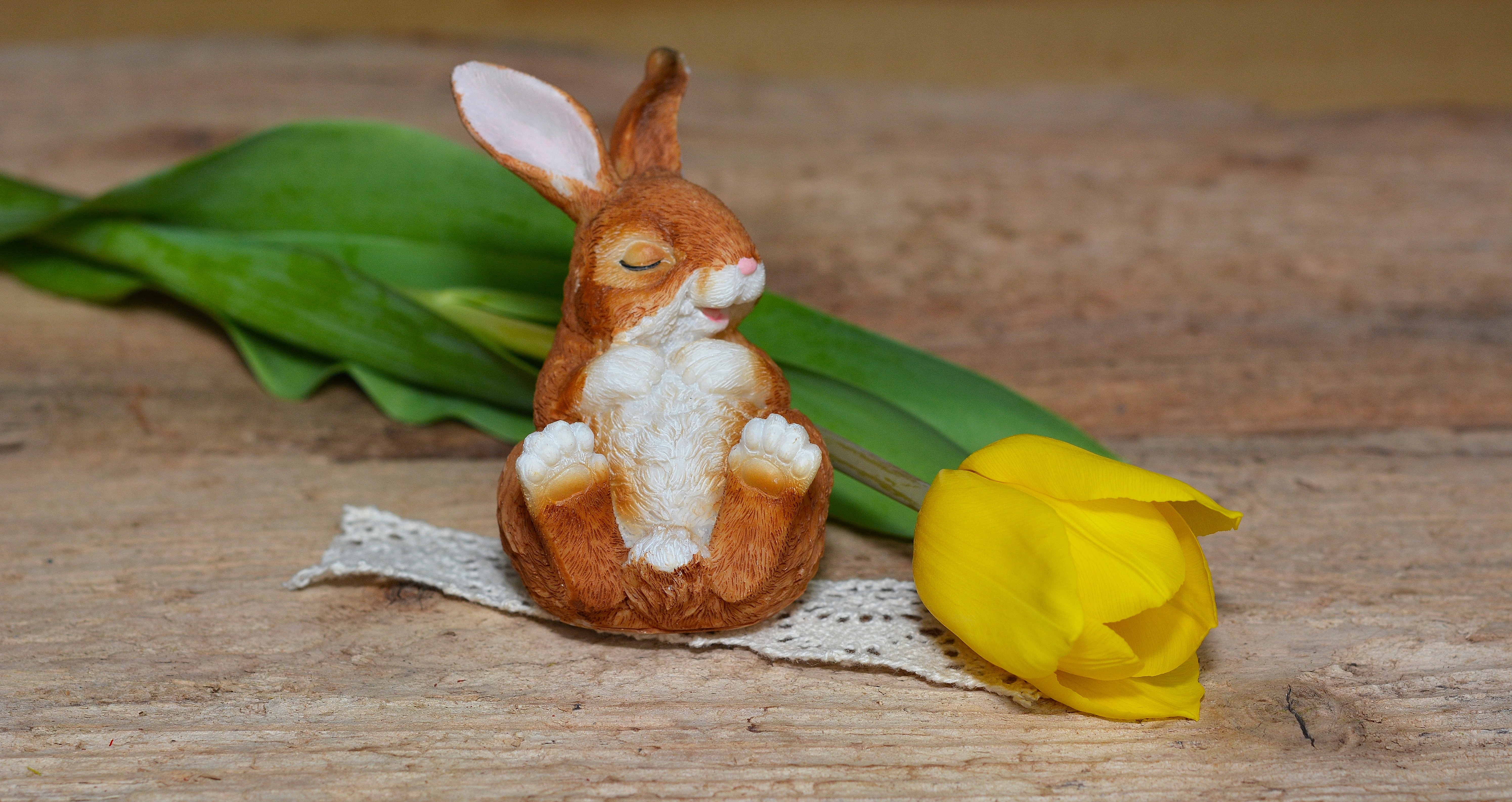 brown rabbit figurine and yellow tulip