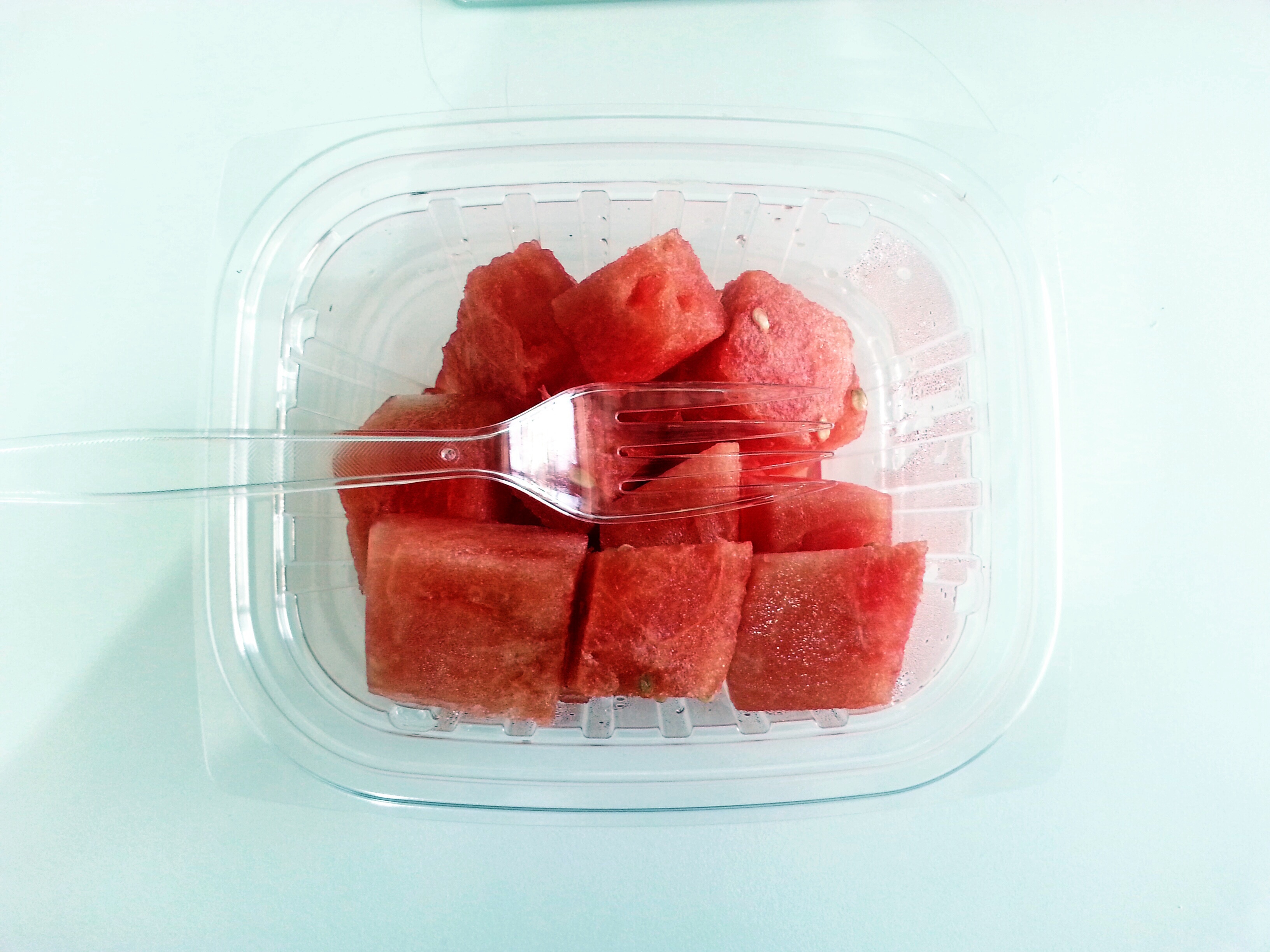 watermelon plastic fork and container
