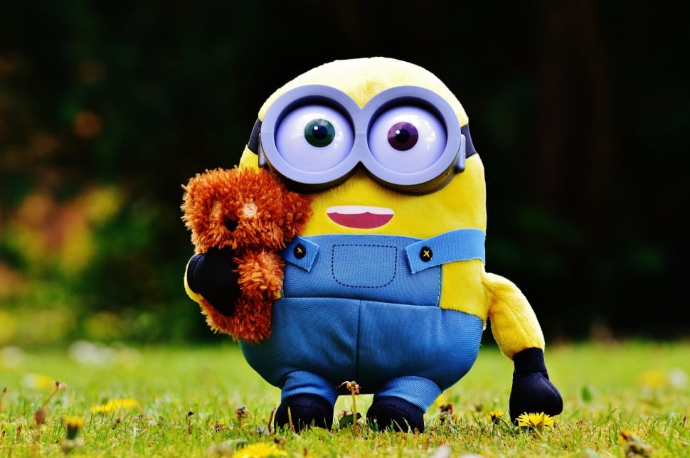 Minion deals with teddy