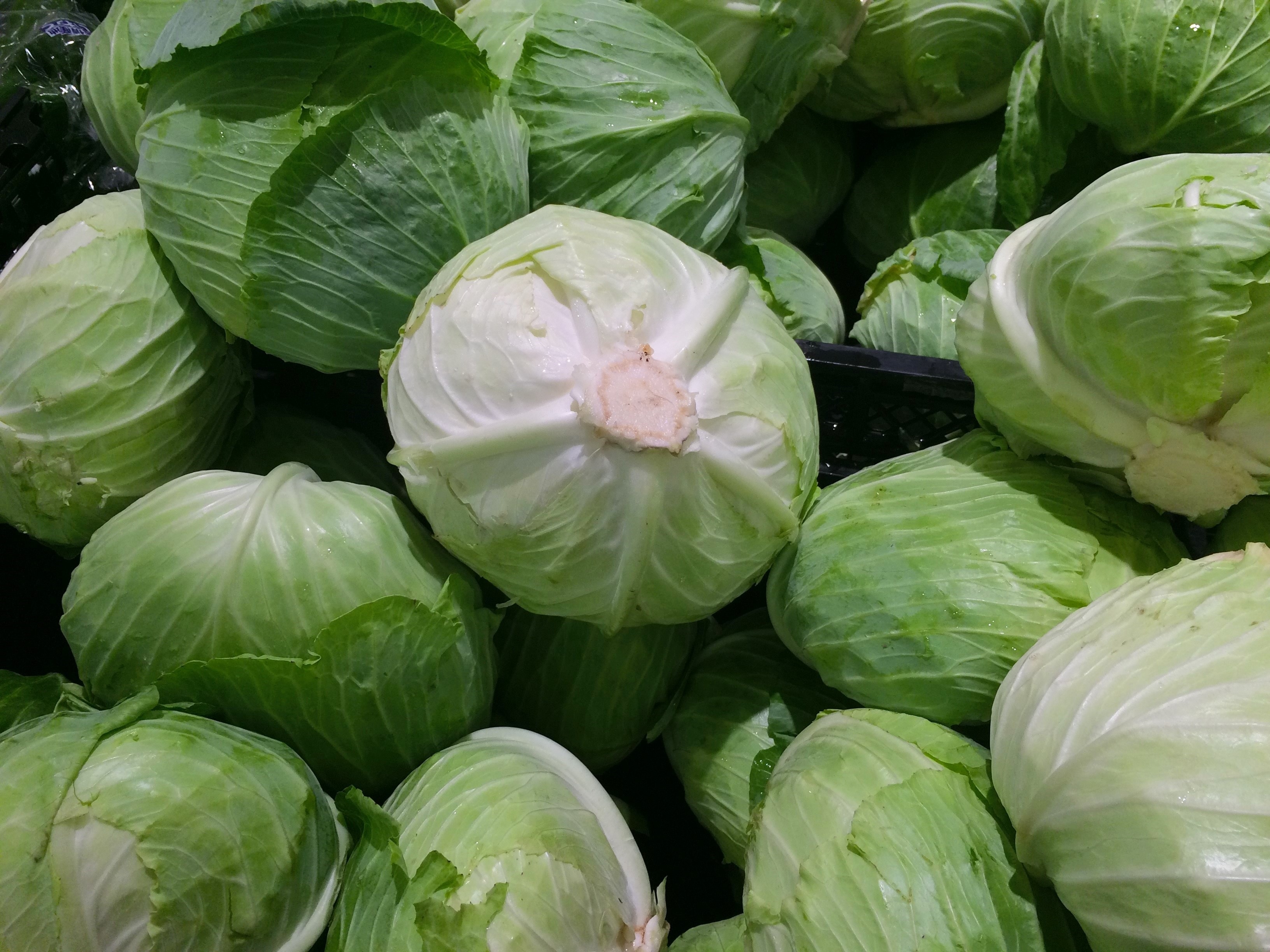 cabbage vegetables
