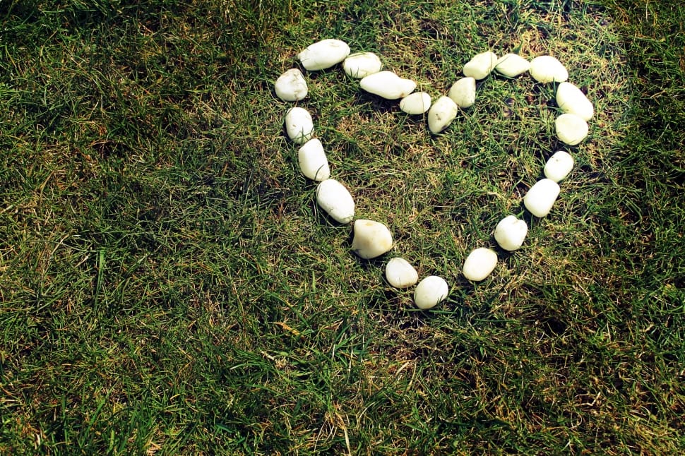 Grass, Heart, Outdoor, Shape, Stones, heart shape, love preview