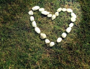 Grass, Heart, Outdoor, Shape, Stones, heart shape, love thumbnail