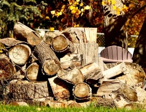 brown cutted logs thumbnail