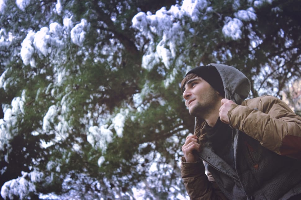 man wearing gray and brown snow jacket under and green leaves tree preview
