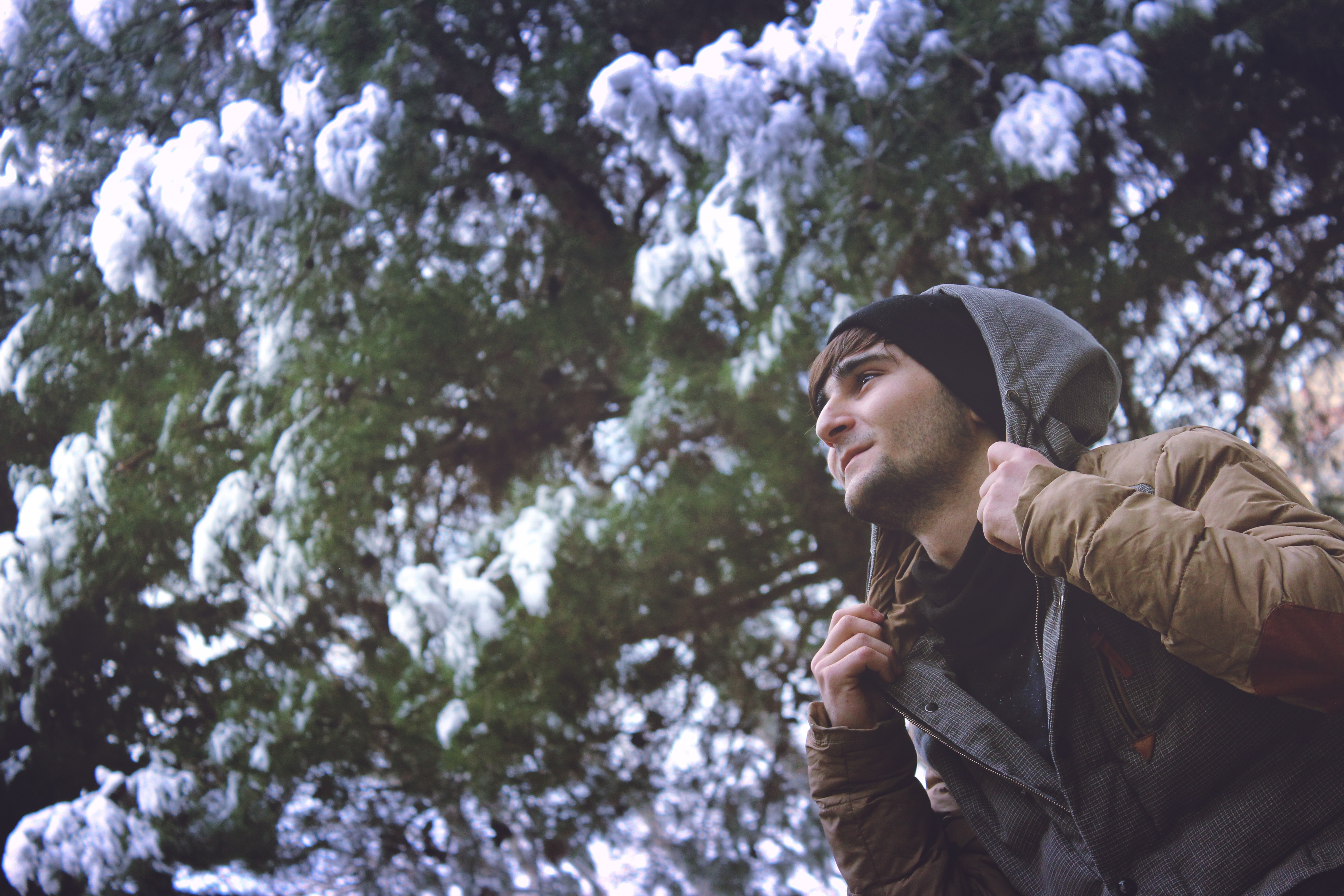 man wearing gray and brown snow jacket under and green leaves tree
