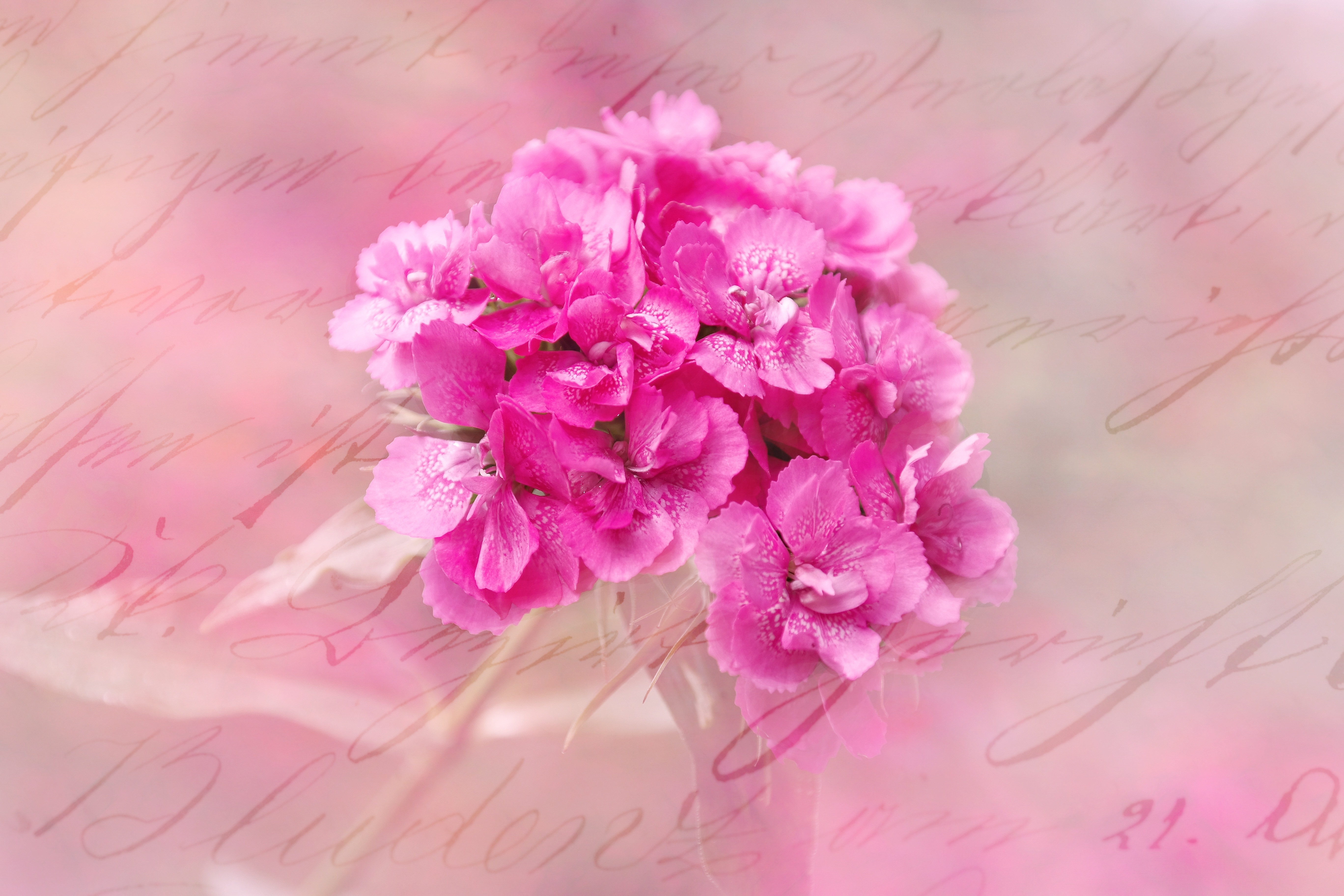 pink flower ornament