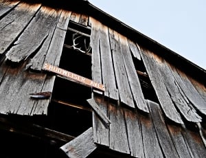 budweiser avenue gray wooden shed thumbnail