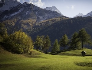 landscape view of green field and snowy mountain thumbnail