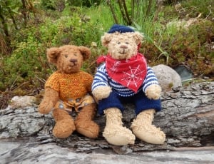 two teddy bears on log during daytime thumbnail