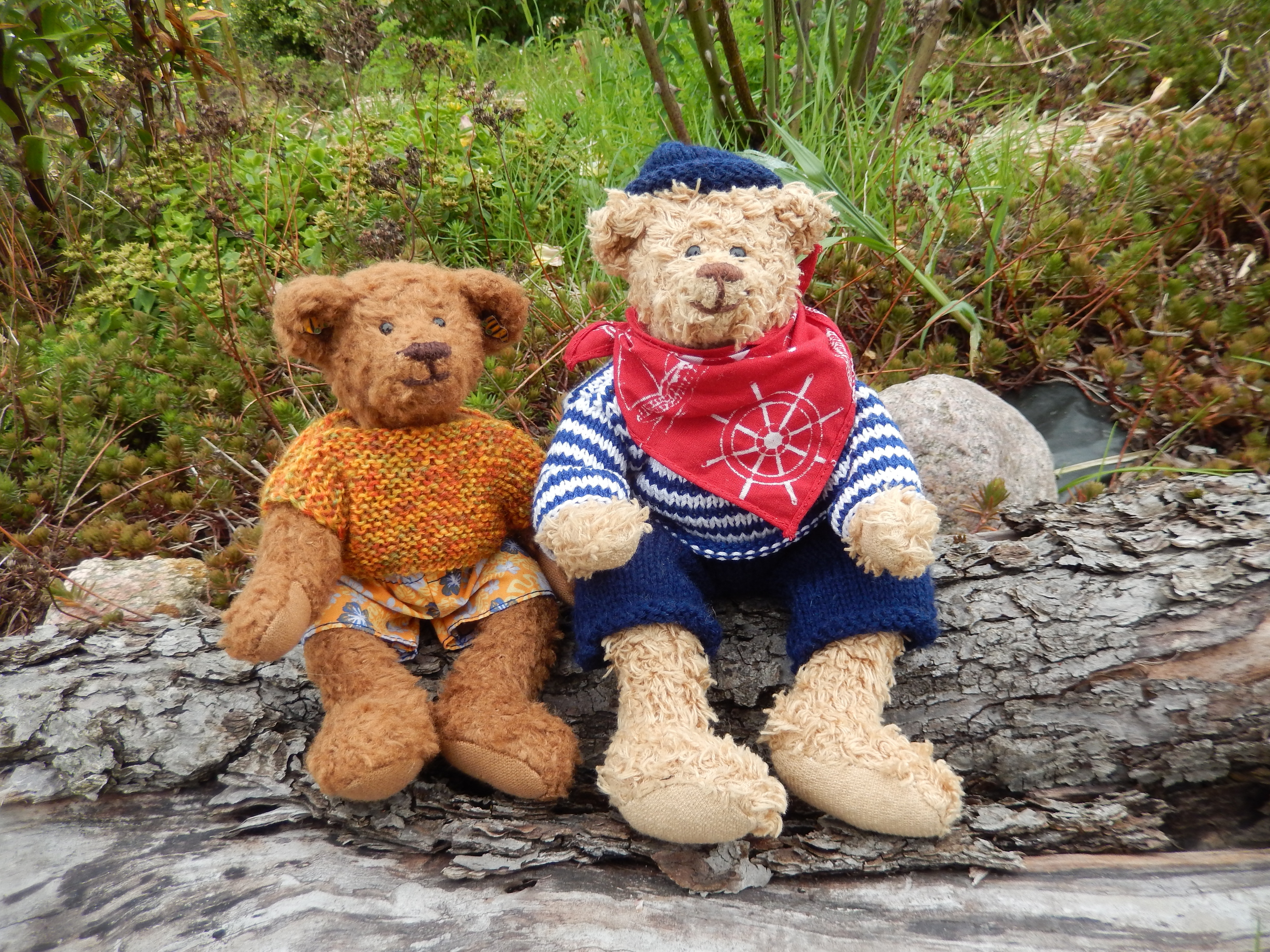 two teddy bears on log during daytime
