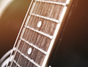 shallow photo of guitar strings thumbnail
