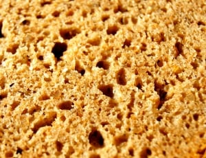 close up photo of baked bread thumbnail