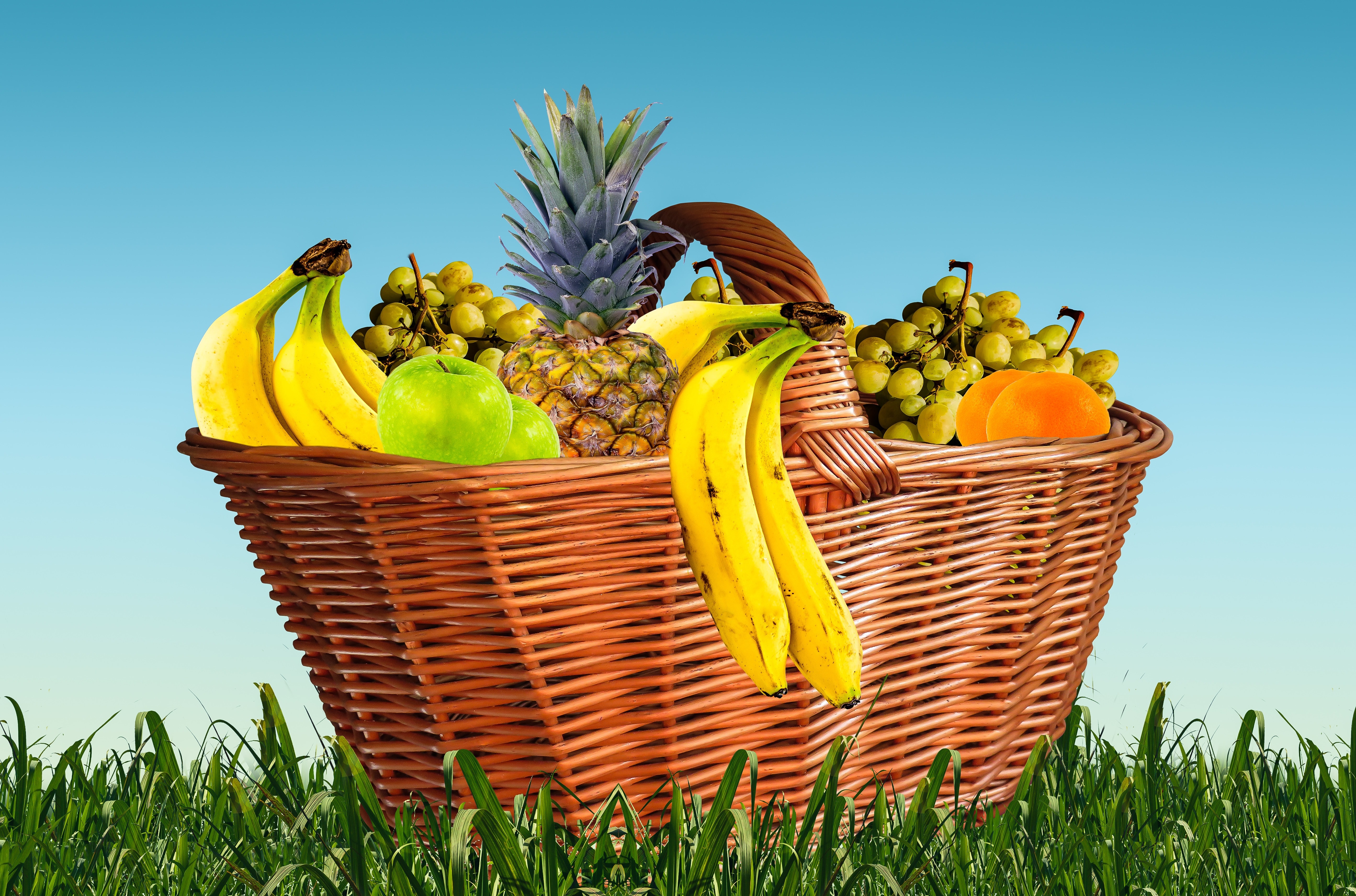 fruits on wicker basket illustration