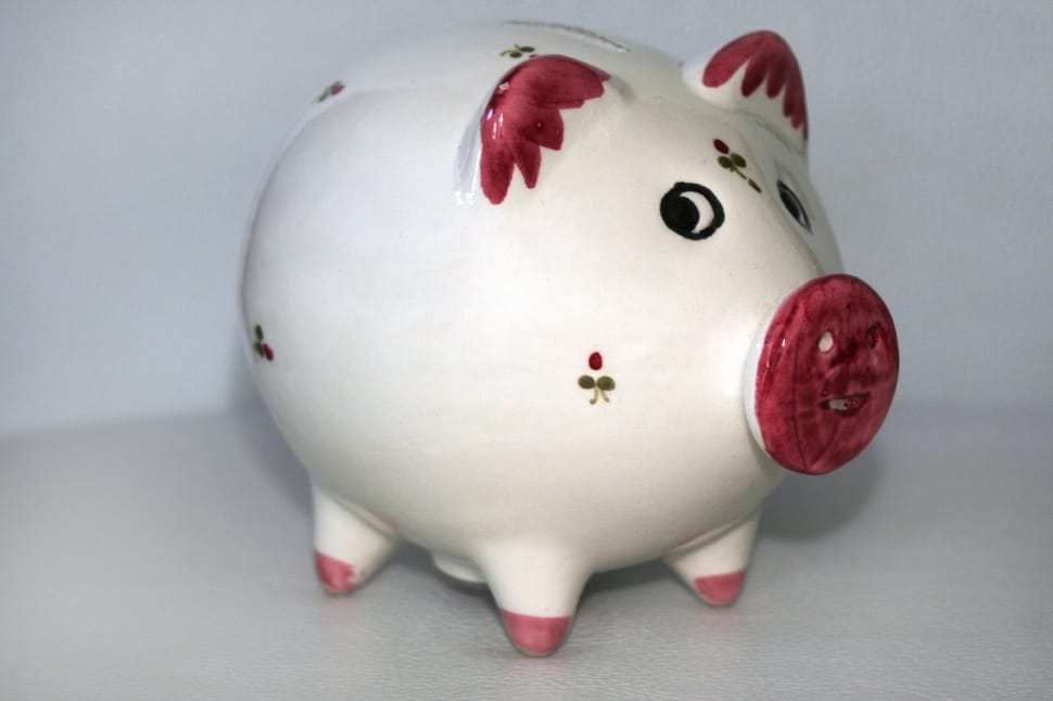 showing red-and-white ceramic pig figurine preview