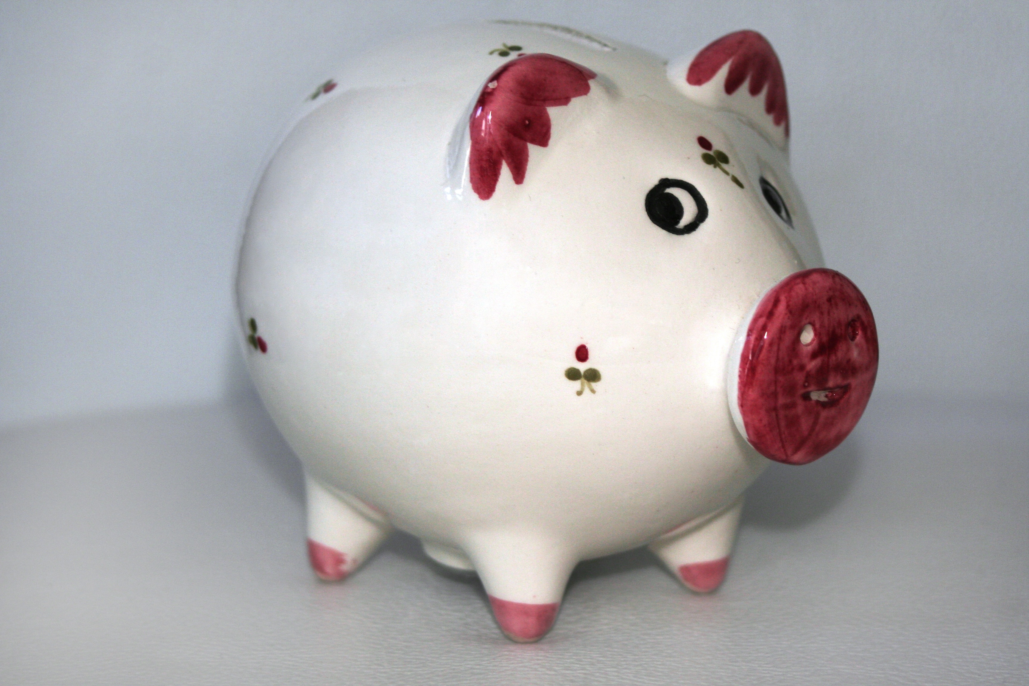 showing red-and-white ceramic pig figurine