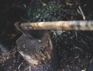 brown log with axe thumbnail
