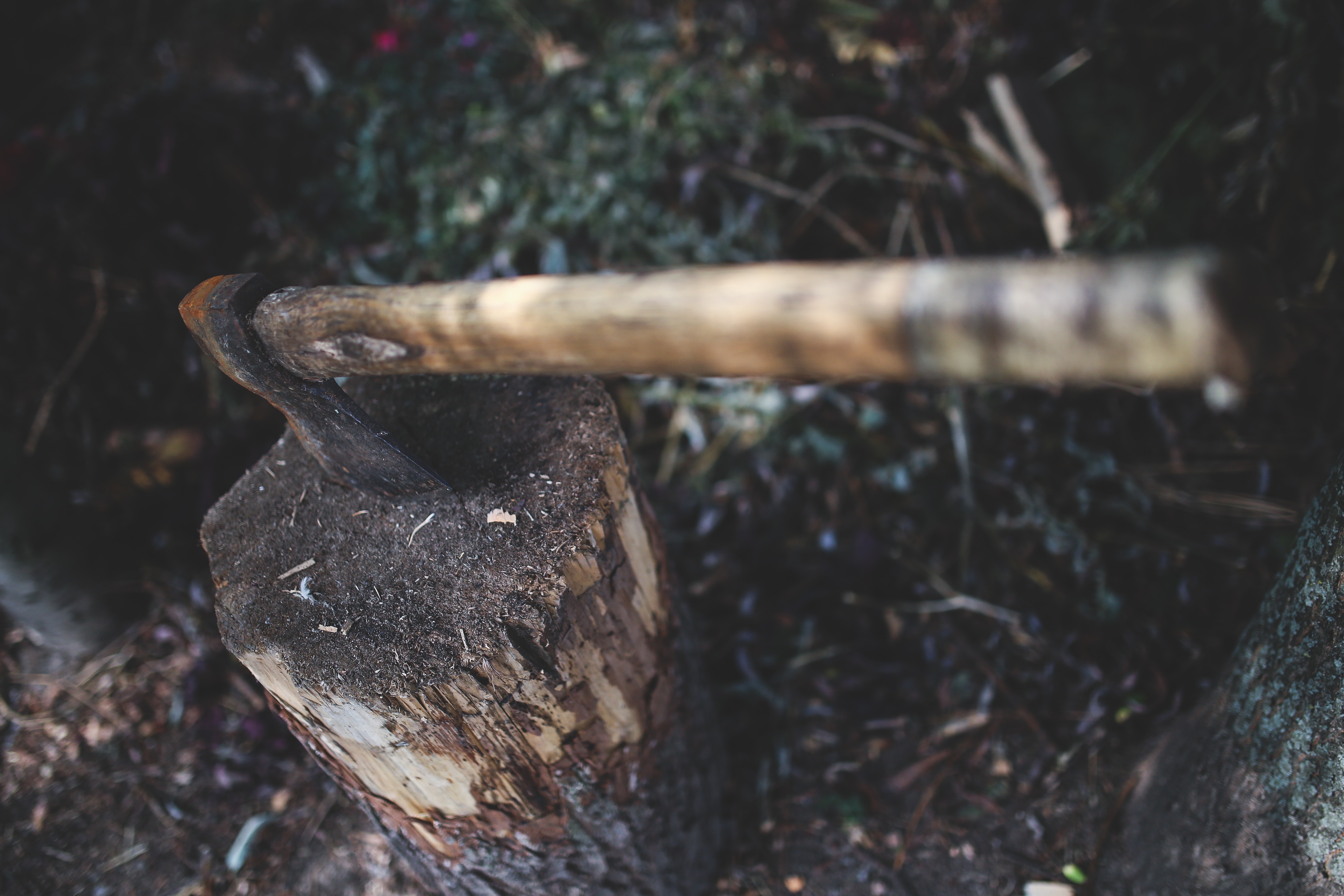 brown log with axe