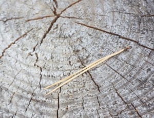 beige wooden sticks thumbnail