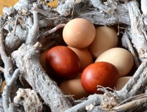 brown and white eggs thumbnail