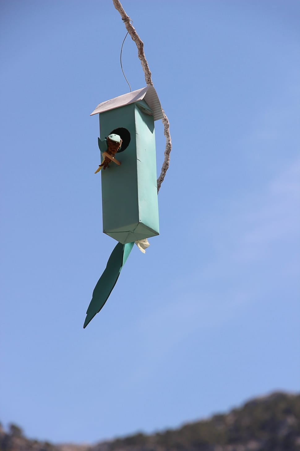 teal bird house preview