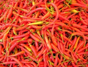 Chilli Pepper, Sharp, Laos, Spices, red, food thumbnail