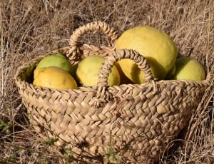 yellow lemons on brown wicker basket thumbnail