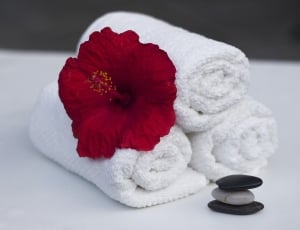 Spa, Clean, Hibiscus, Care, Towel, Salon, red, white color thumbnail