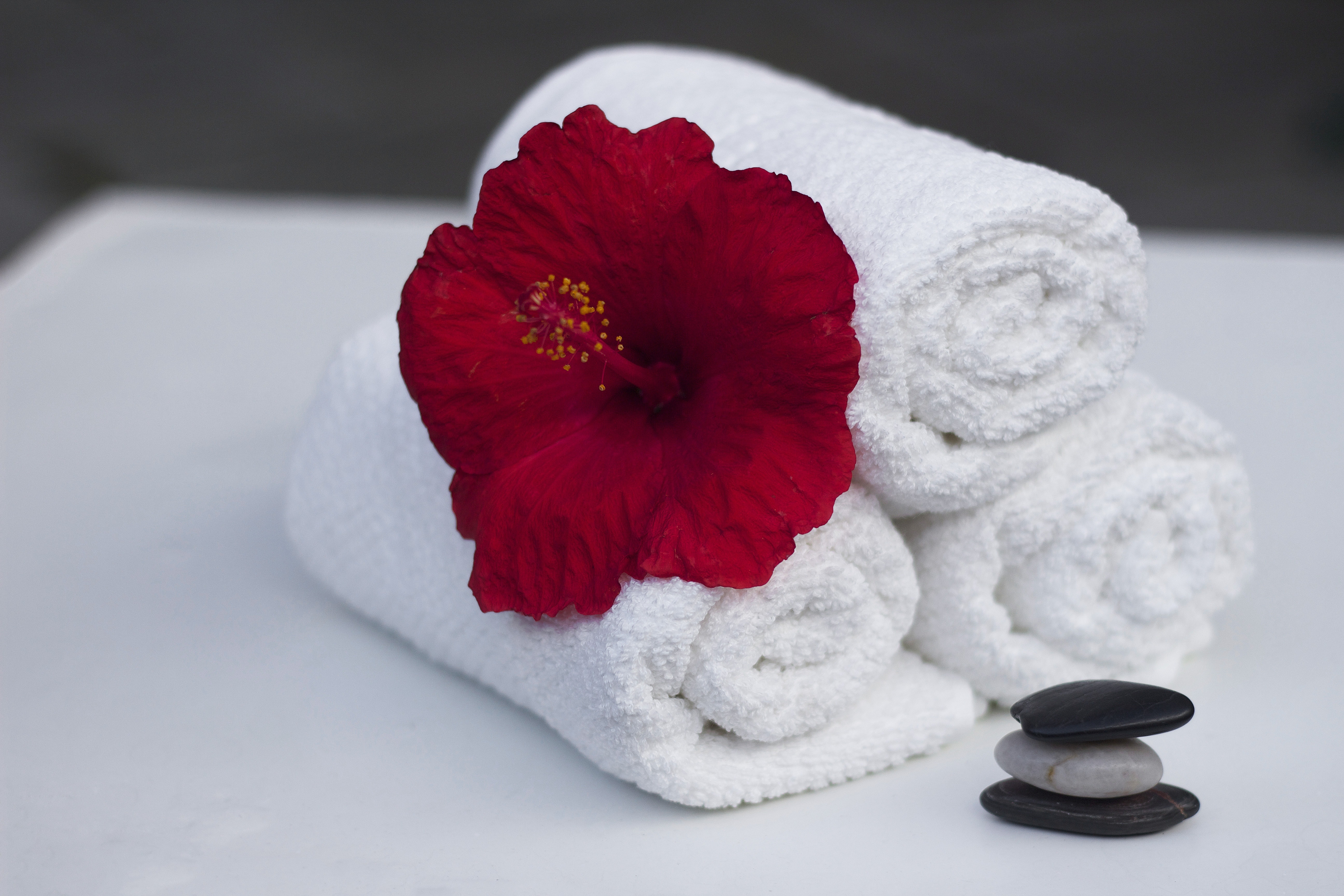 Spa, Clean, Hibiscus, Care, Towel, Salon, red, white color