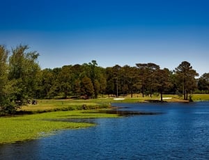 Scottsboro, Goose Pond Colony Park, tree, water thumbnail