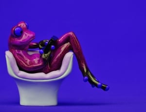 Pc, Frog, Tablet, Cozy, Computer, Chair, purple, food and drink thumbnail
