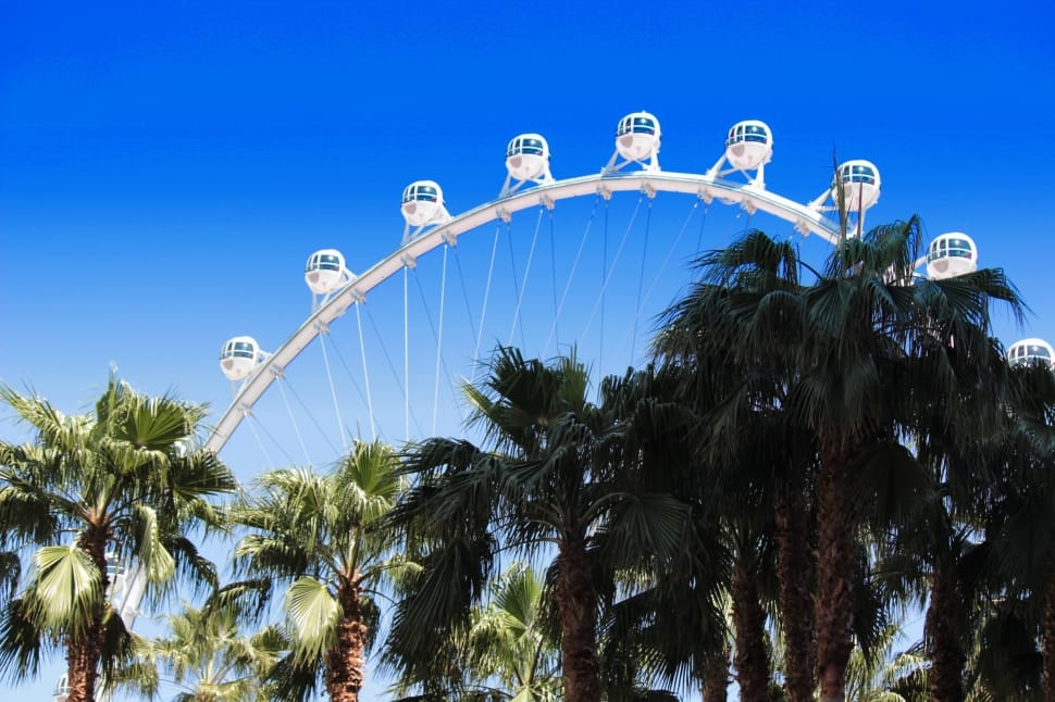 Las Vegas, Strip, Palm Trees, amusement park, tree preview