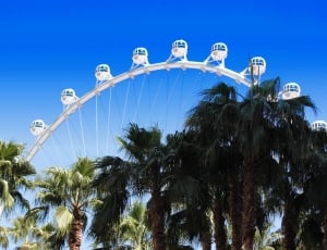 Las Vegas, Strip, Palm Trees, amusement park, tree thumbnail