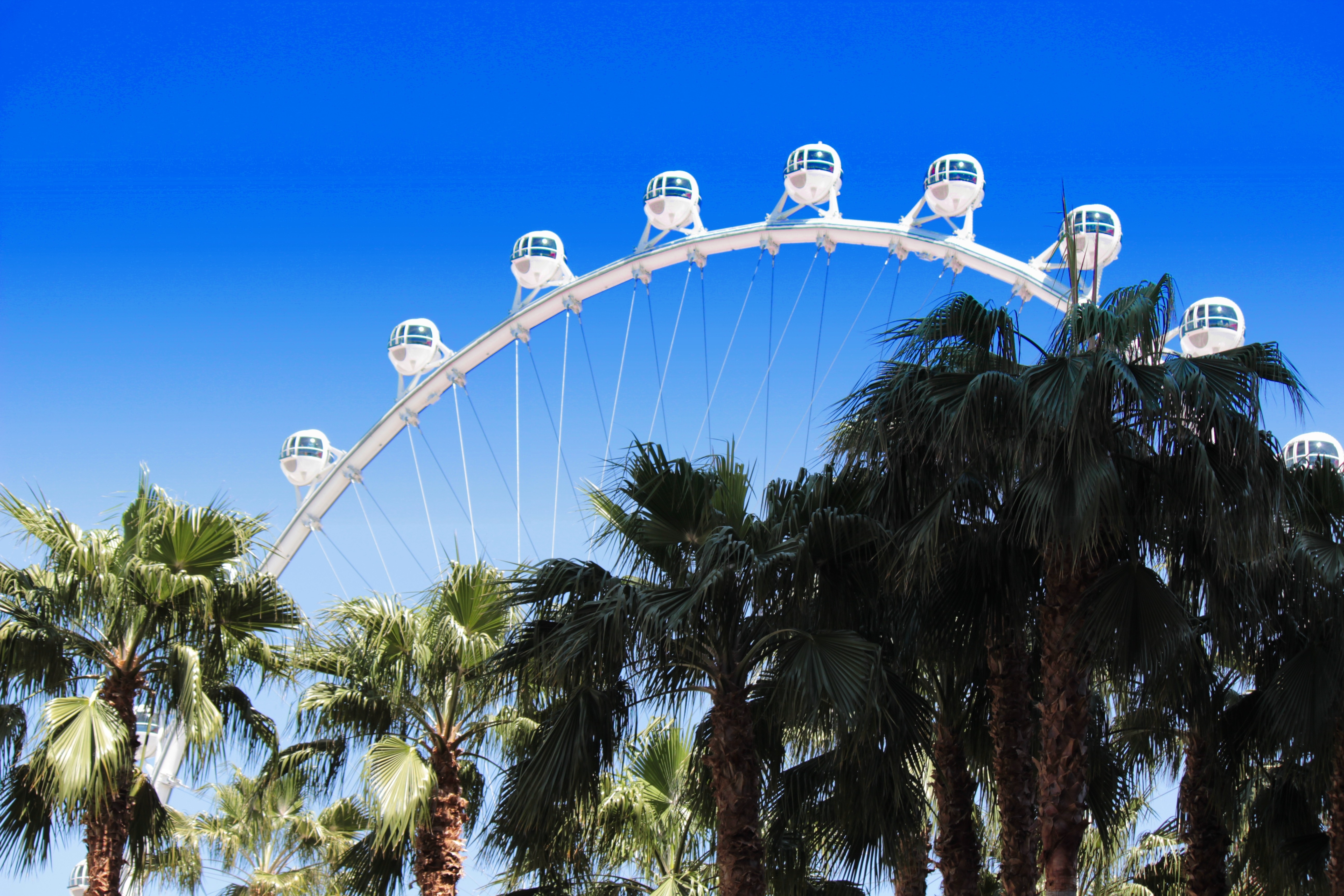 Las Vegas, Strip, Palm Trees, amusement park, tree