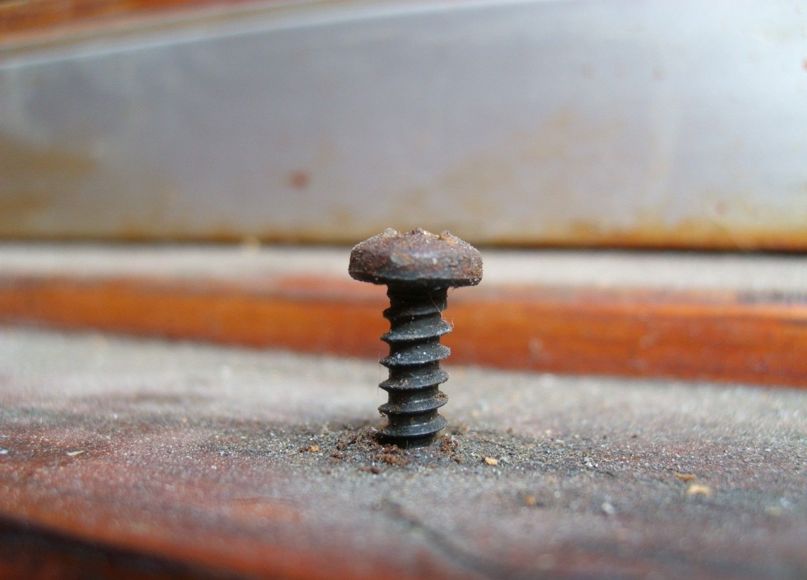 brown screw